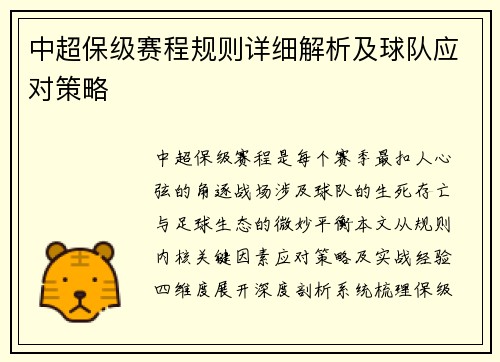 中超保级赛程规则详细解析及球队应对策略
