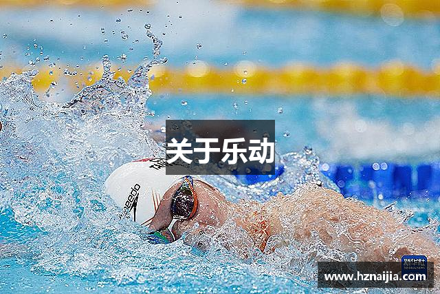 关于乐动